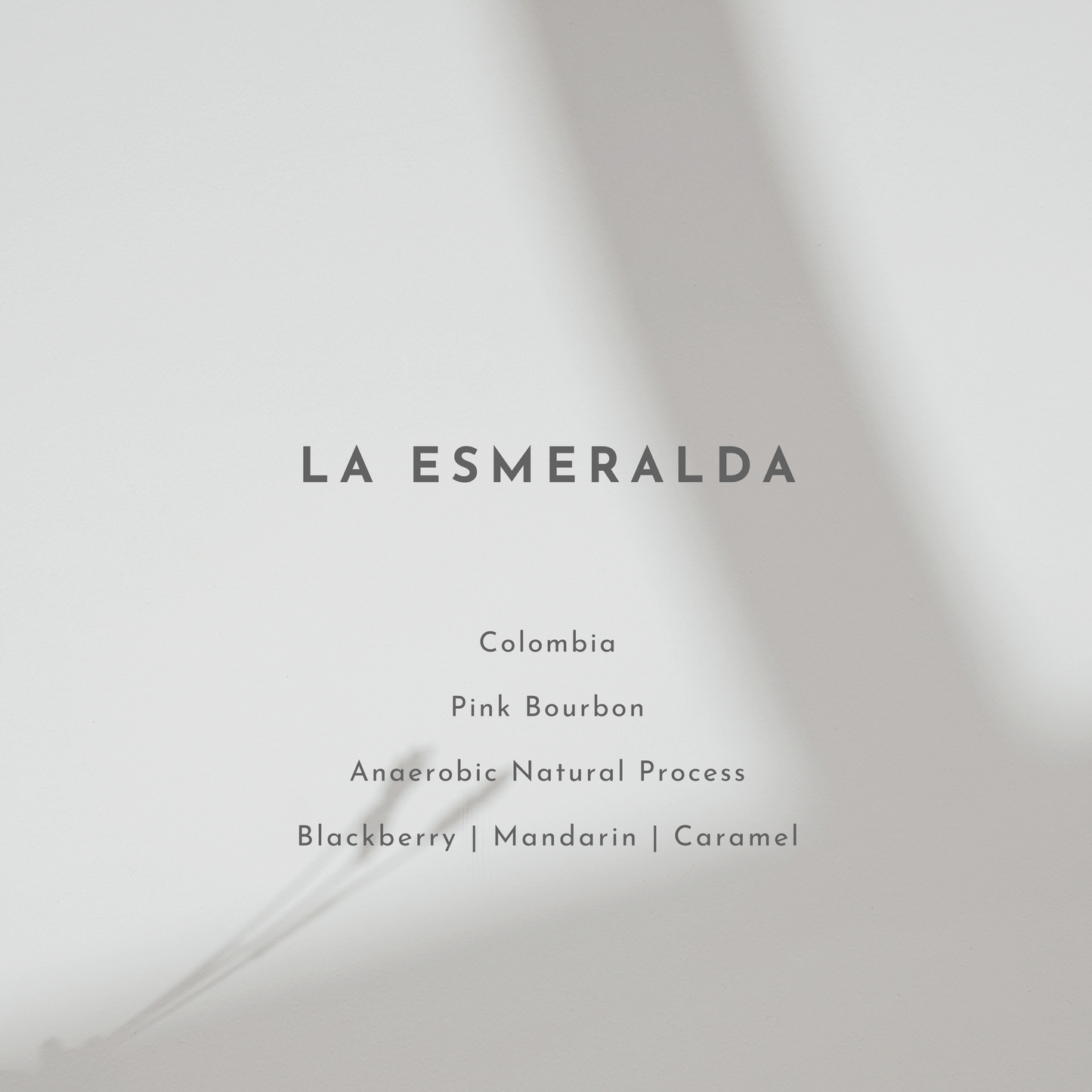 La Esmeralda