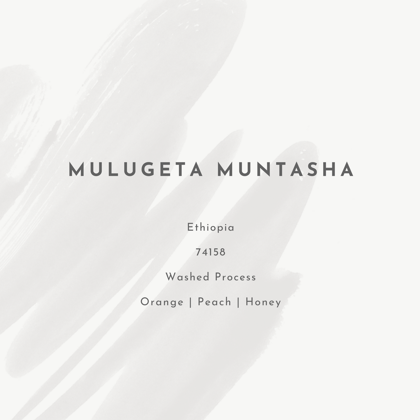Mulugeta Muntasha