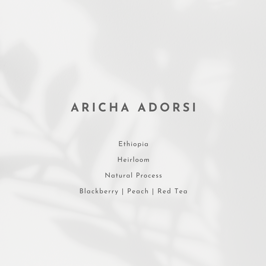Aricha Adorsi