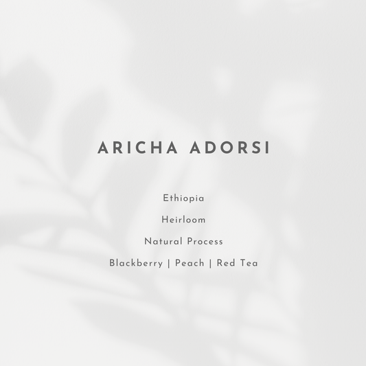 Aricha Adorsi