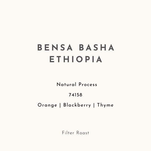 Bensa Basha