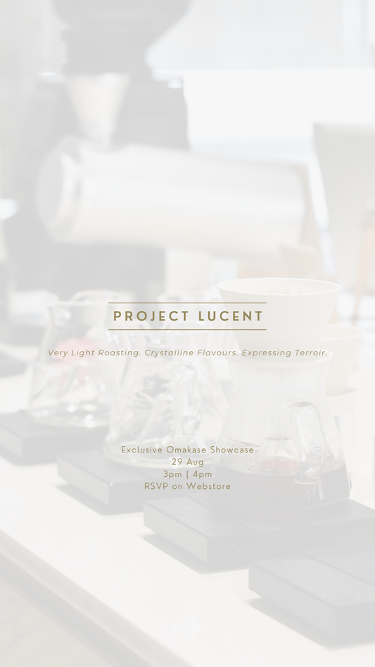 Project Lucent: An Exclusive Showcase