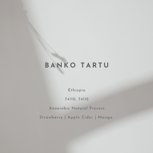 Banko Tartu