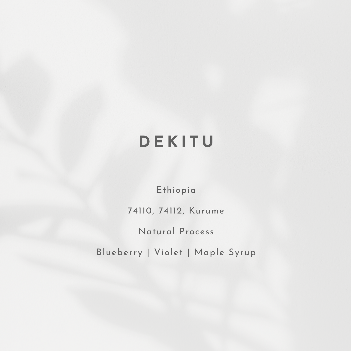 Dekitu