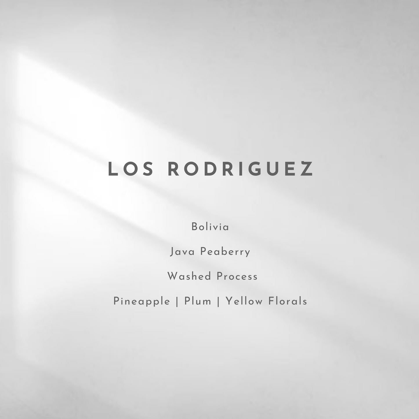 Los Rodriguez