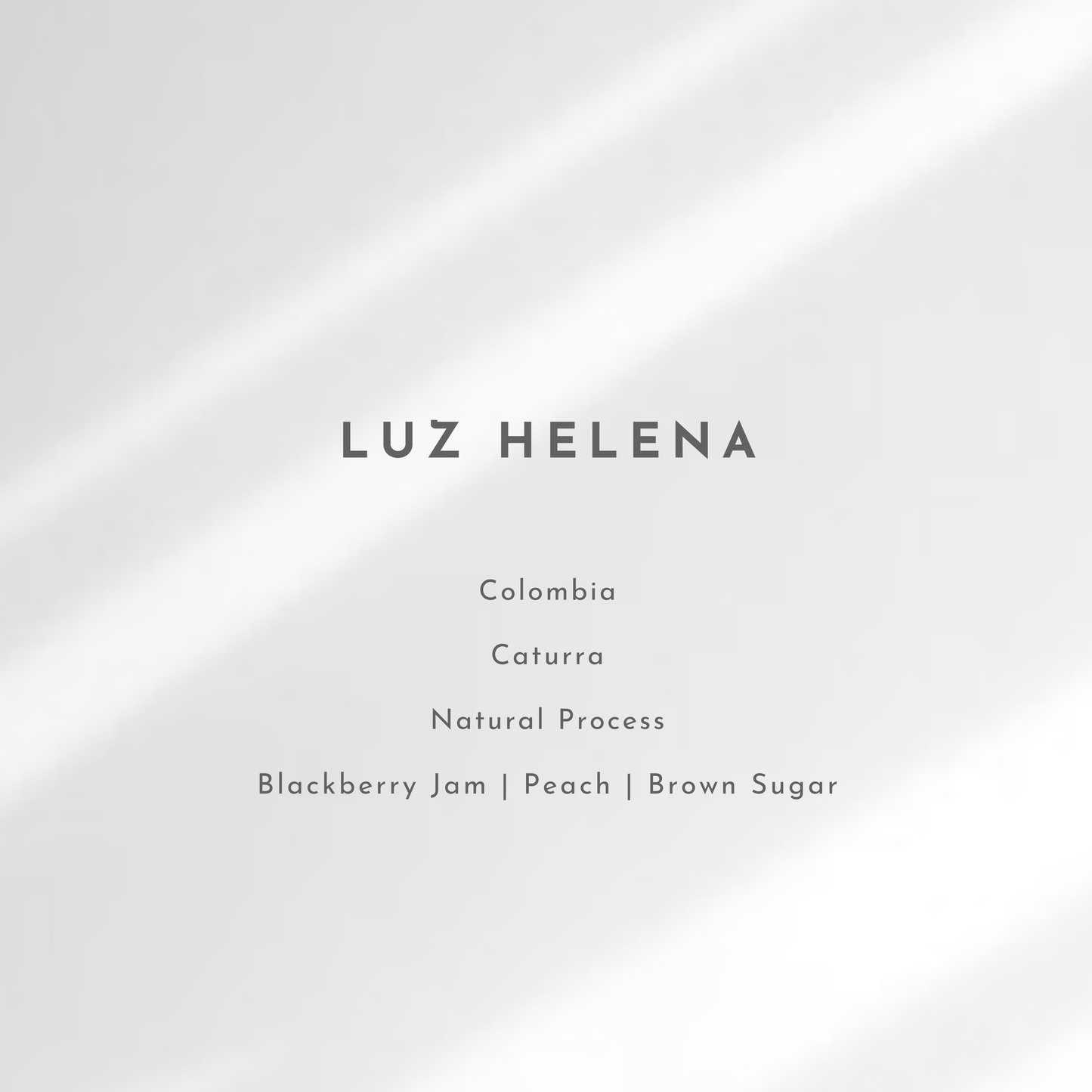 Luz Helena