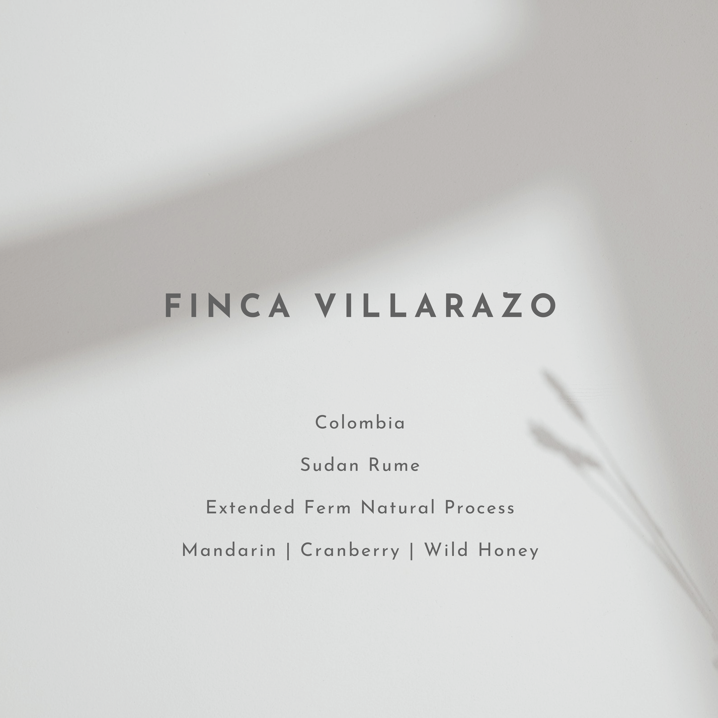Finca Villarazo