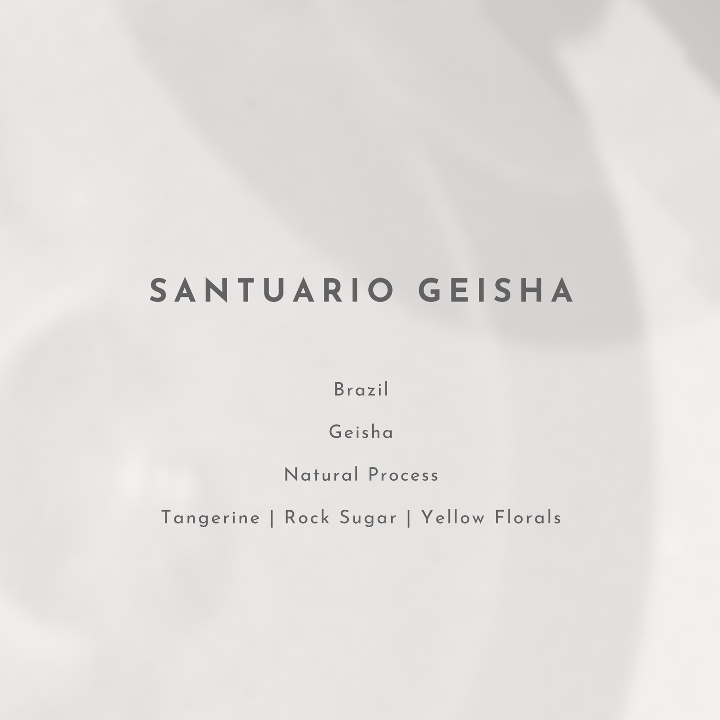 Santuario Geisha