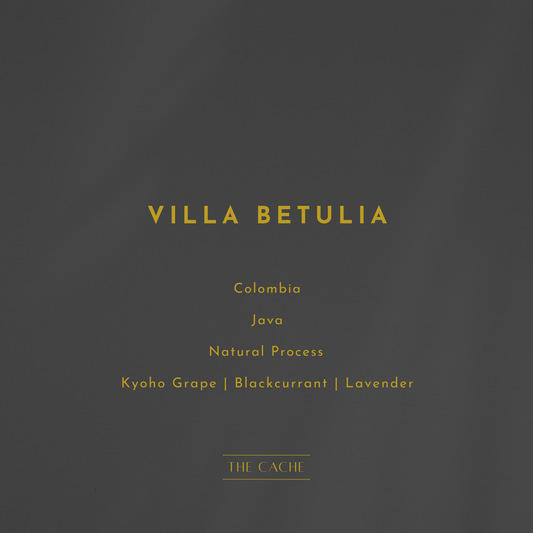 Villa Betulia