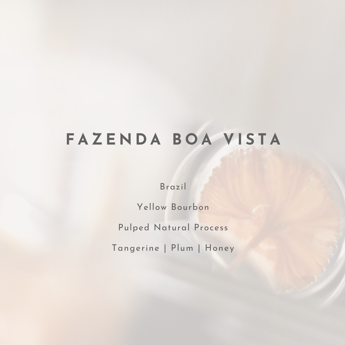 Fazenda Boa Vista