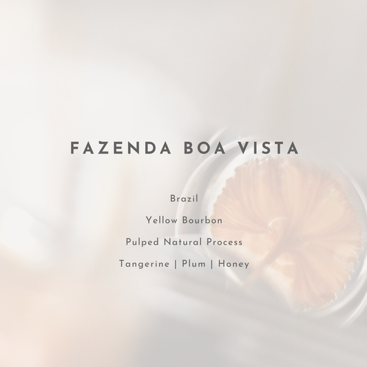 Fazenda Boa Vista