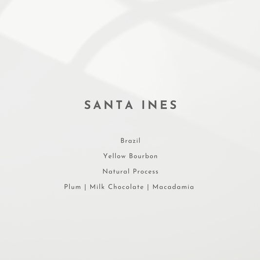 Santa Ines
