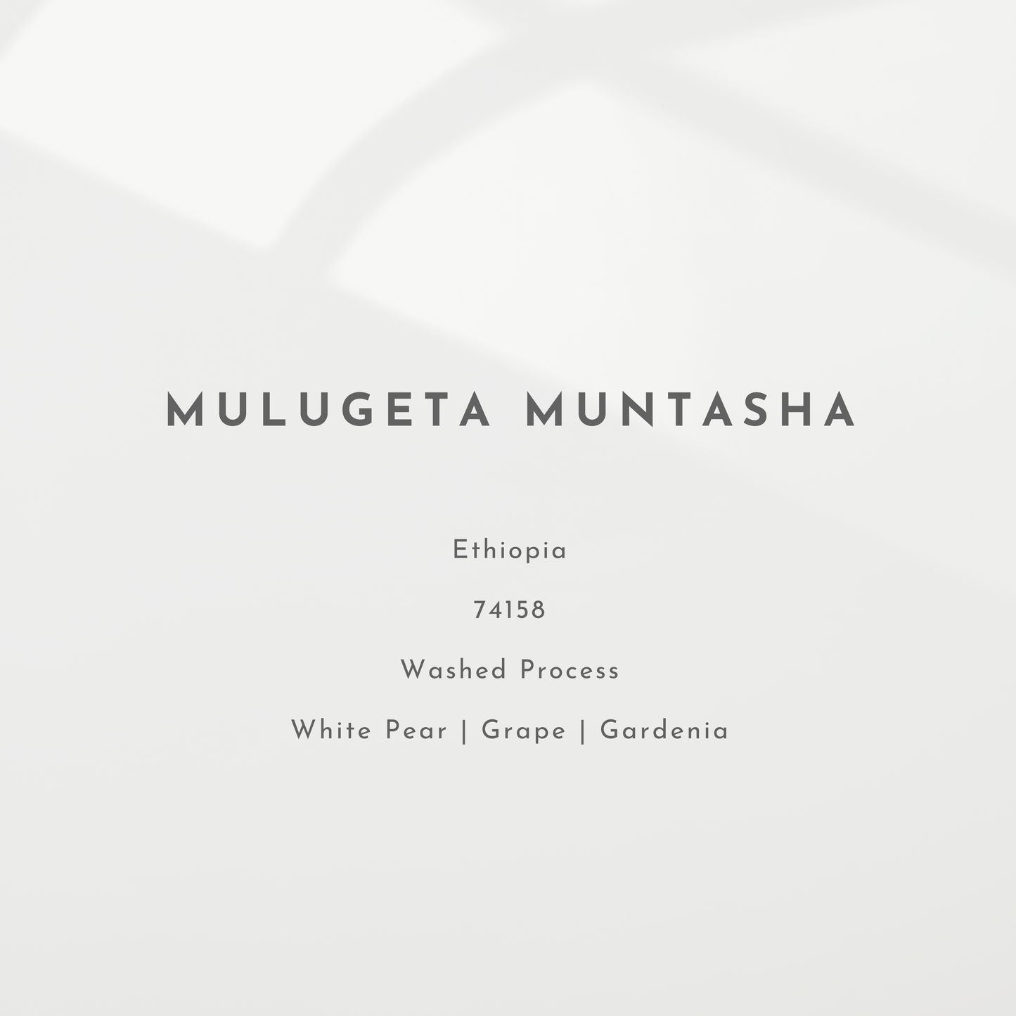 Mulugeta Muntasha