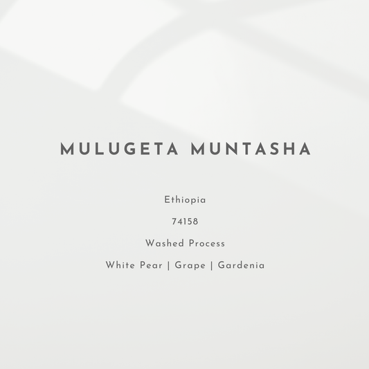 Mulugeta Muntasha