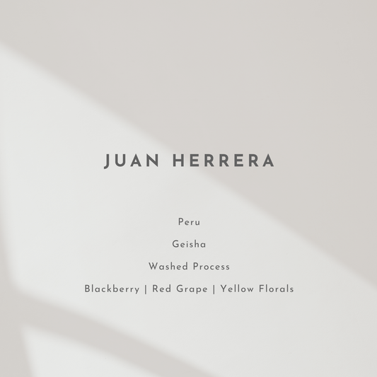 Juan Herrera