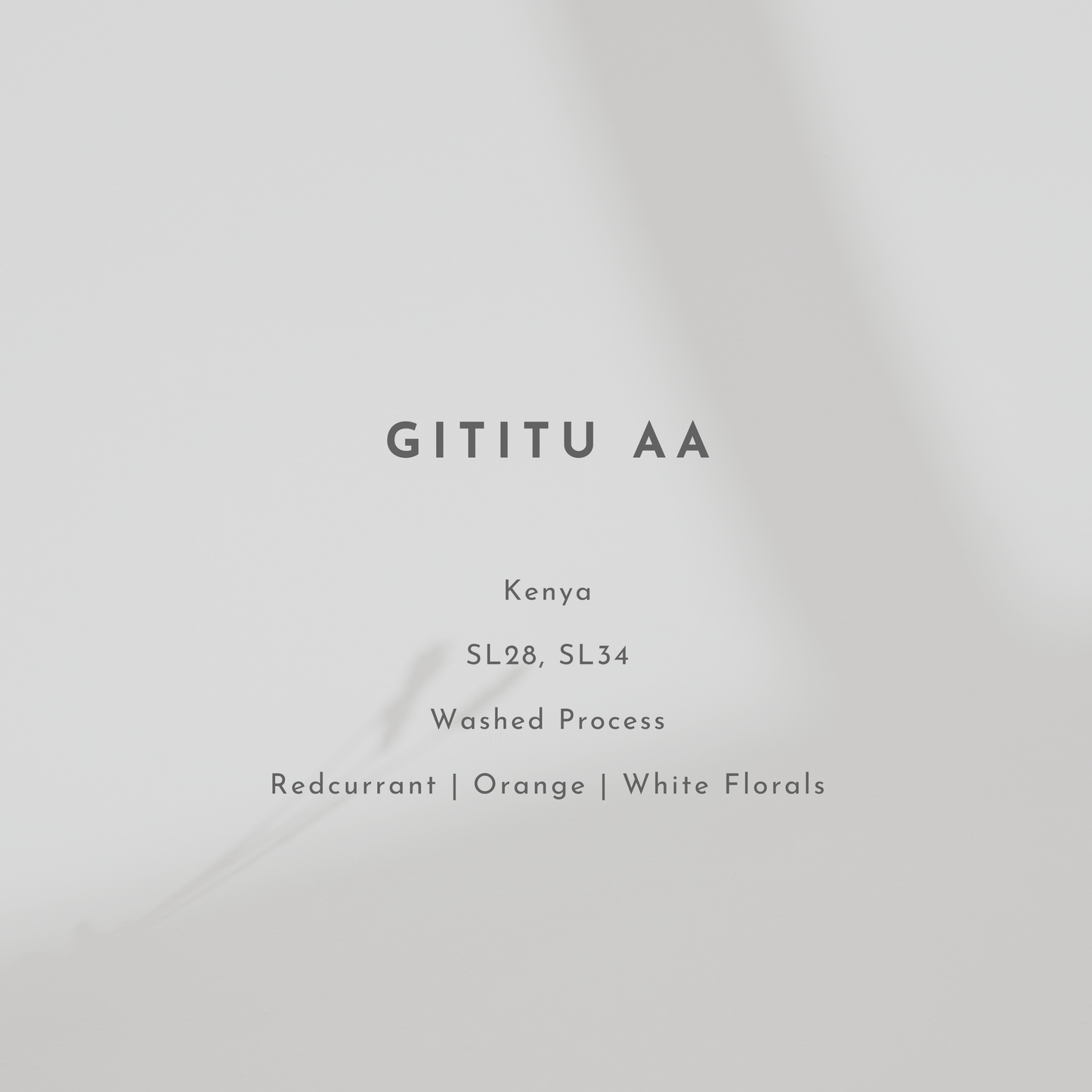 Gititu AA