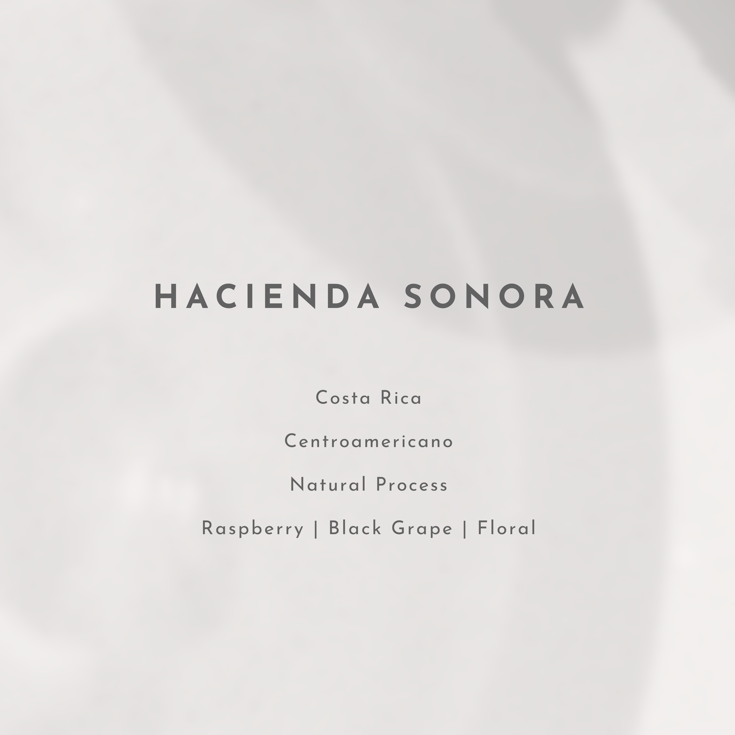 Hacienda Sonora