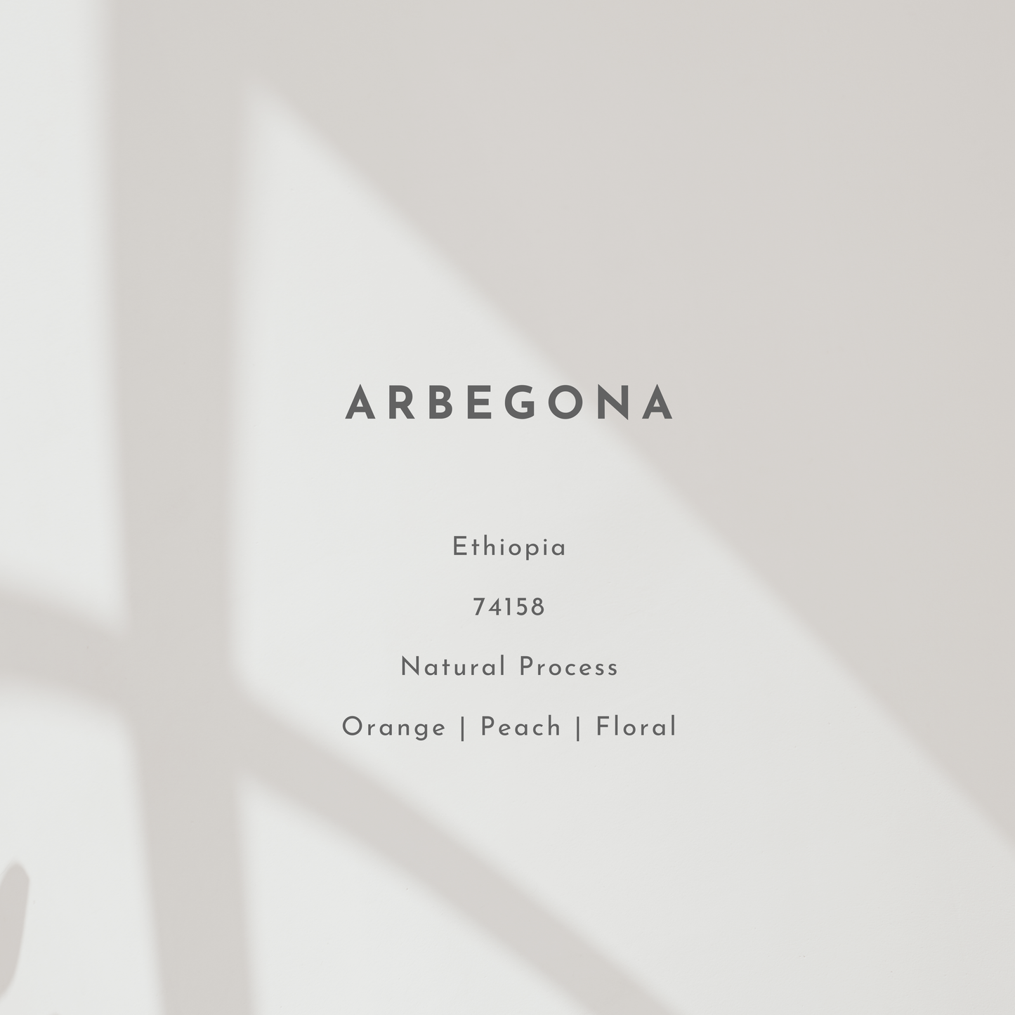 Arbegona