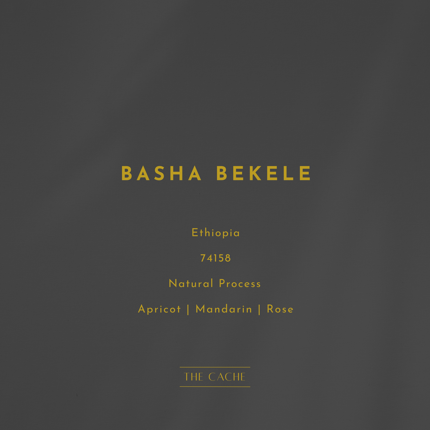 Basha Bekele