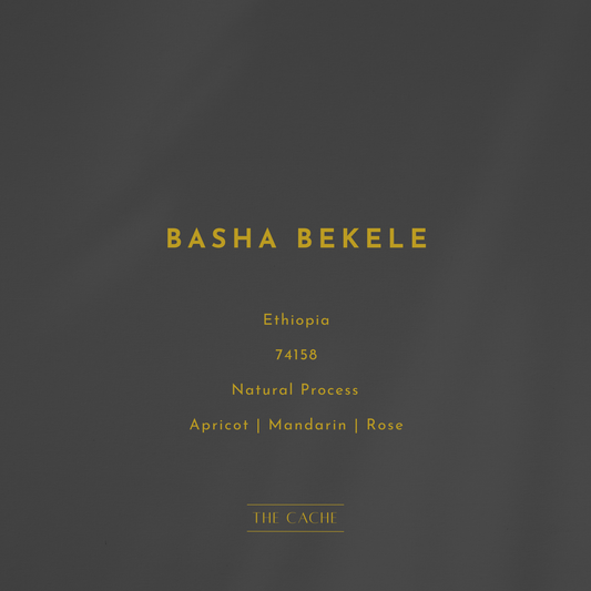 Basha Bekele