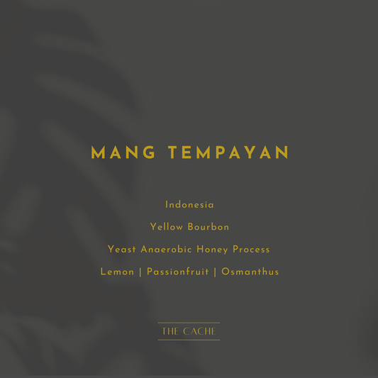 Mang Tempayan