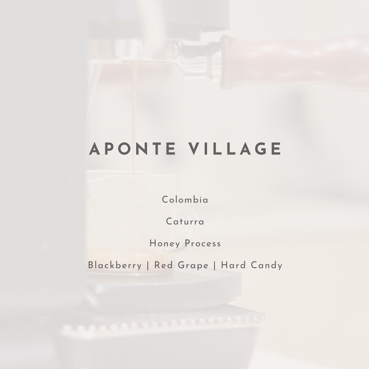 Aponte Village