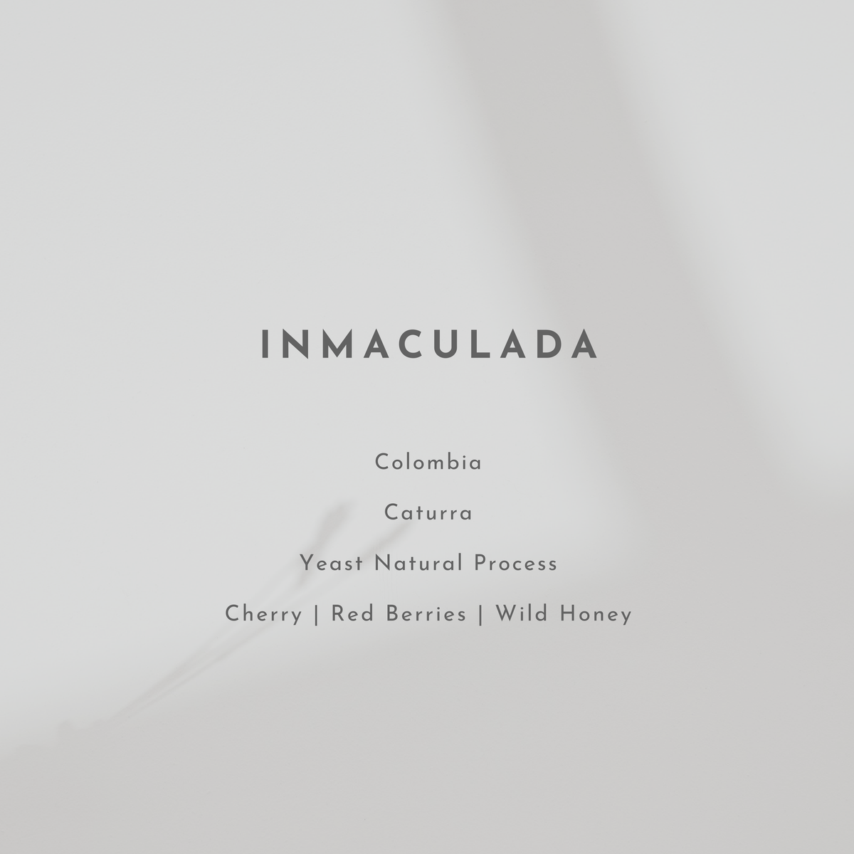 Inmaculada