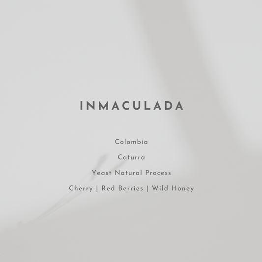 Inmaculada