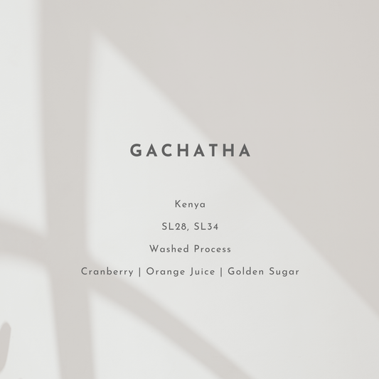 Gachatha