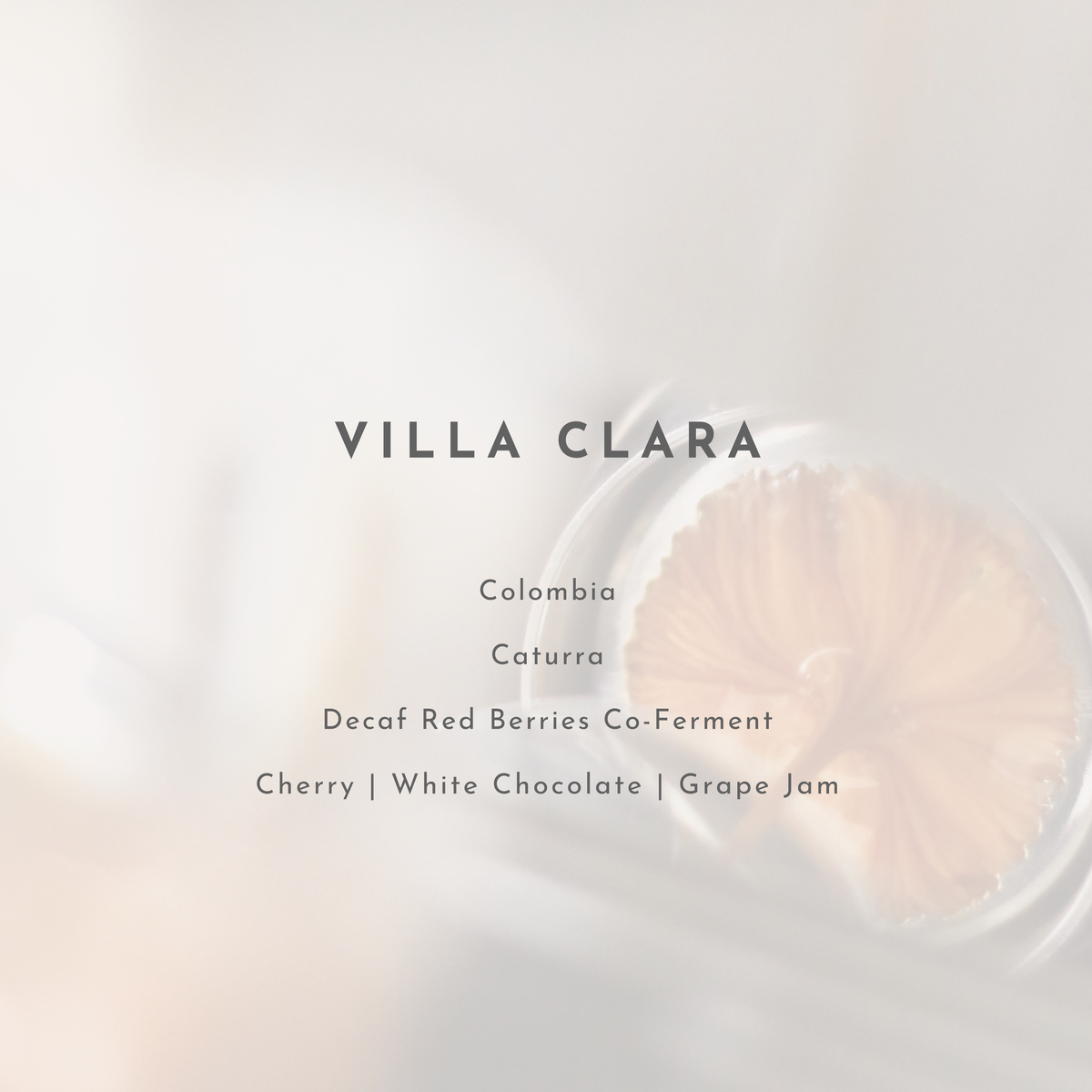 Villa Clara