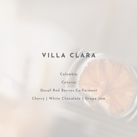 Villa Clara