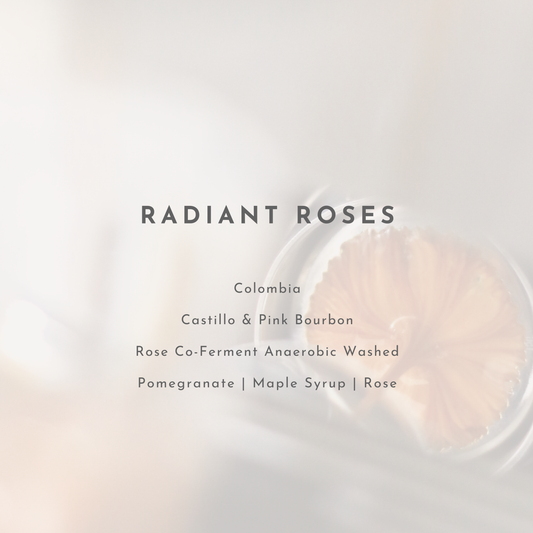 Radiant Roses