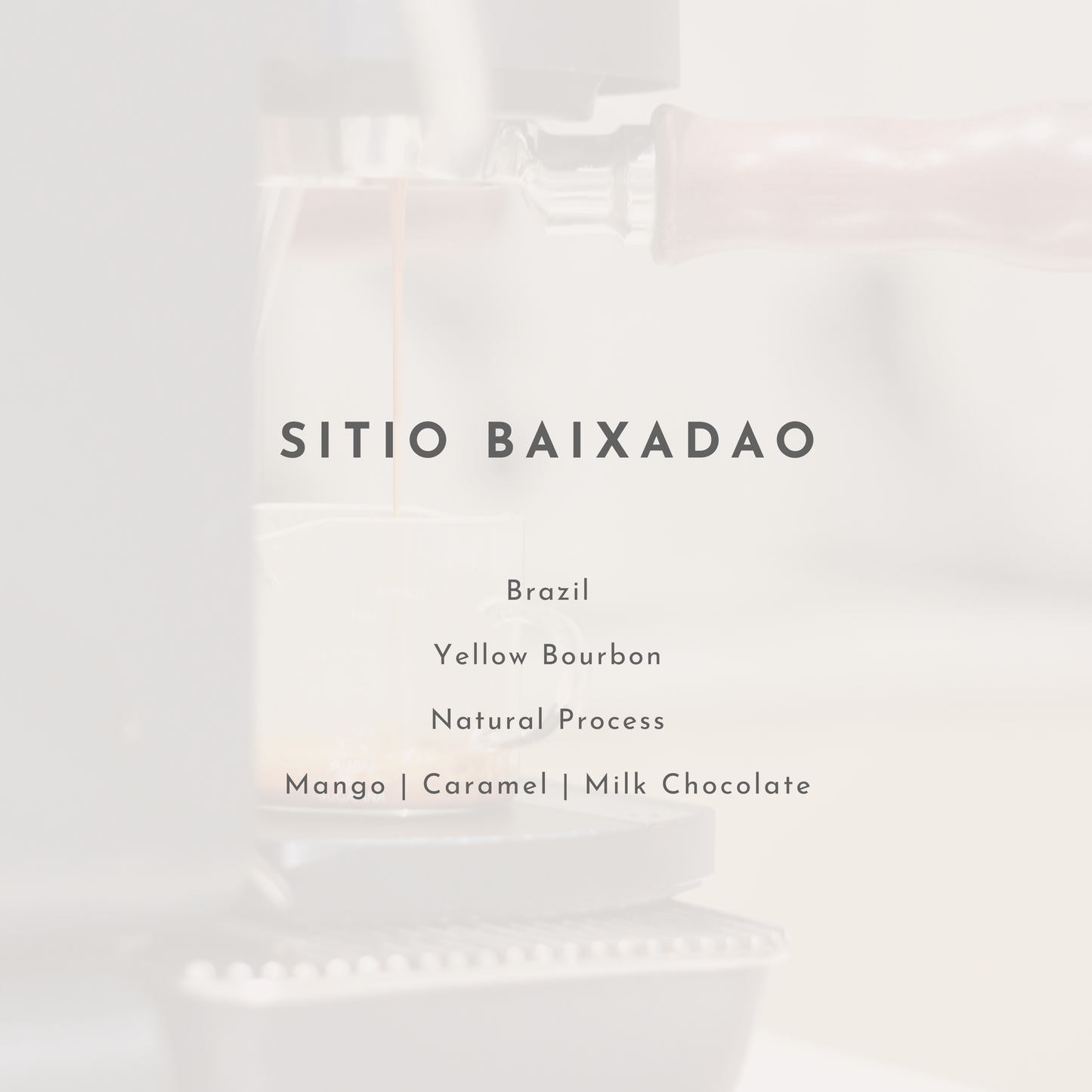 Sitio Baixadao