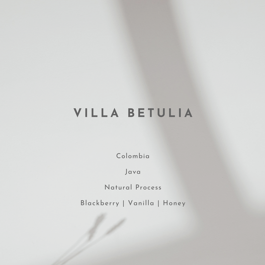 Villa Betulia