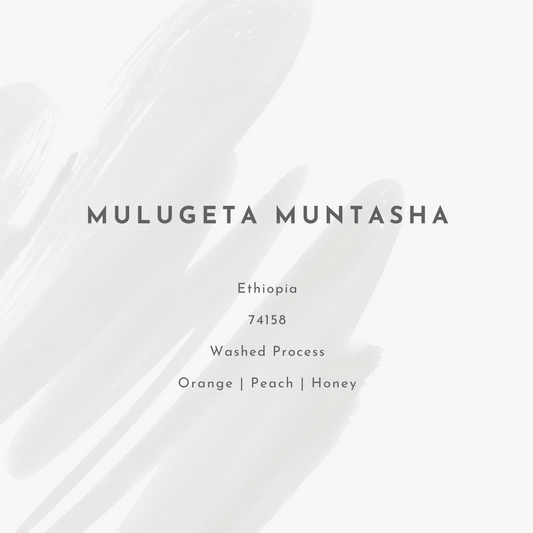Mulugeta Muntasha